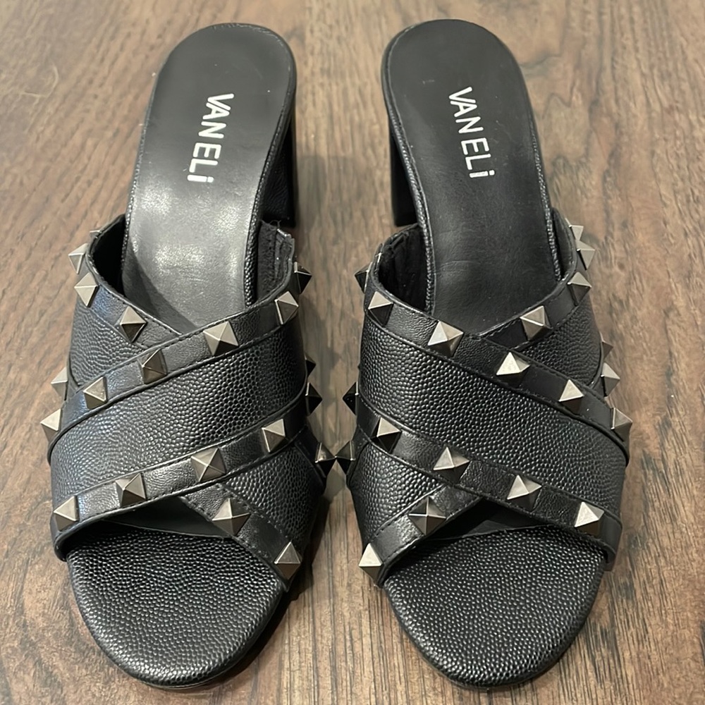 Vaneli slides‎